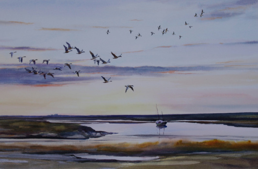 Wildfowl